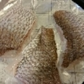 オーブンで鯛塩焼き レシピ 作り方 By 涼美さん 楽天レシピ オーブンで鯛塩焼き レシピ 作り方 By 涼美さん 楽天レシピ